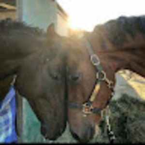 Meet your Posher, Patricia